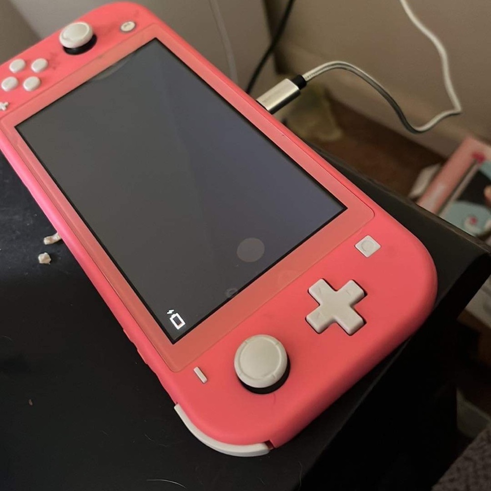 Nintendo switch lite